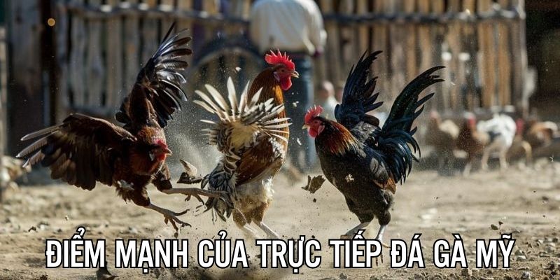 Điểm mạnh khi theo dõi những trận đấu nhà cái trình chiếu