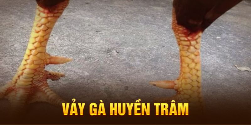 Để nhận diện giống kê này, bạn phải đánh giá vị trí, hình dạng 