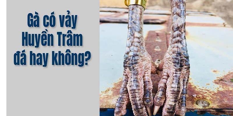 Huyền Trâm ngang cựa nổi tiếng về tính hiếu chiến, nhiều đòn đá đẹp