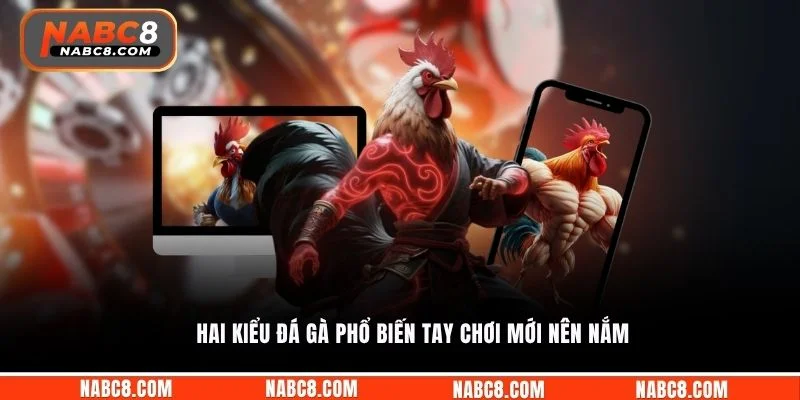 Hai kiểu đá gà phổ biến tay chơi mới nên nắm