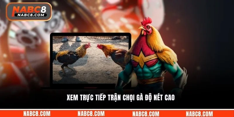 Xem trực tiếp trận chọi gà độ nét cao